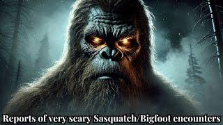 The Scariest Sasquatch/Bigfoot Story Ever - True Tales of Terror