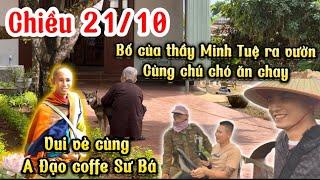 Chiều 21/10 Bố thầy Minh Tuệ ra vườn cùng chú chó ăn chay-vui vẻ cùng A Đạo coffe Sư Bá