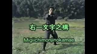 Bujinkan Gyokko Ryu Massaki Hatsumi