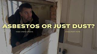 We cut into the roof!  + Kitchen redesign & huge Homesense haul! (#3)