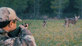 Deer and Giant Hog Hunting