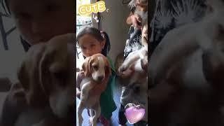 Super cute nila w/ cats&dogs