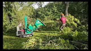 Chipping Ash with a GL&D SUPER Tracked Bio Chipper in Somerset 2023 with the Bearded Climber