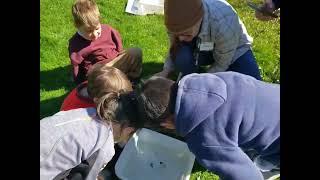 "Exploring Nature's Classroom: Olivet Academy's Pond Discovery with Cary Institute (04/30/24)