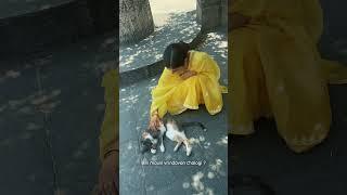 Billi mausi vrindavan chalogi ?