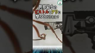 世界最小のピストルをアリに撃つとどうなる？#科学 #ゆっくり解説 #雑学