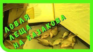 Лещ на Казакова... Все, что нужно знать.  Финский залив