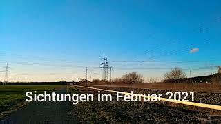 Sichtungen im Februar 2021