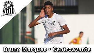 Bruno Marques • SantosFC • Skills & Gols