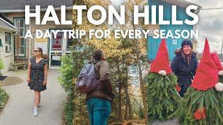 Halton Hills, Ontario: How to Visit in Every Season (Georgetown, Glen Williams, Acton and More!)