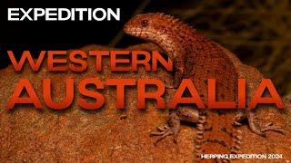 Reptiles & Amphibians of WESTERN AUSTRALIA (Herping Expedition 2024)