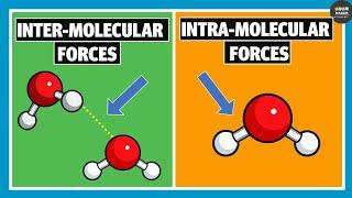 Intermolecular Forces and Intramolecular Forces | Chemistry