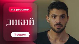 Сериал Дикий — 1 серия (русский дубляж) | Лучшая драма о семье и любви