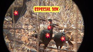 CAÇADA ESPECIAL 30 K /CAÇADA TOP DE JACU