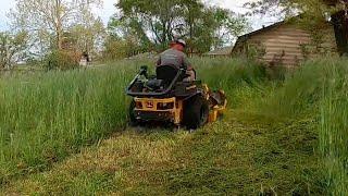 City Violates Their Own Mowing Policy - Cutting Crazy Tall Grass with Lawn Care Juggernaut