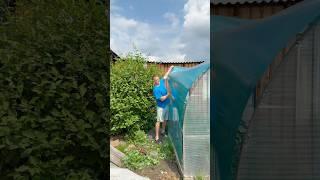 Установка теплицы