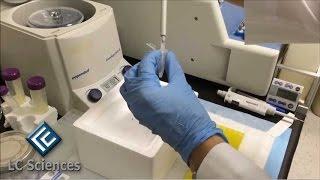 RNA Sample Shipping Instructions
