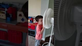 The fan