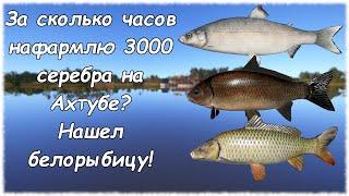 Русская рыбалка 4 Ахтуба. За сколько часов нафармлю 3000 серебра? Белорыбица, Буффало, Сазан #13