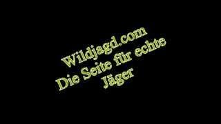 Wildjagd.com - Trailer zur Seite