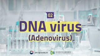 [유해물질 마이크로러닝] DNA virus (Adenovirus)