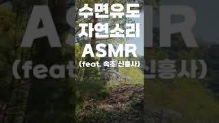 빡쿠남 삶의소리(수면유도-자연소리) ASMR 2편(feat. 속초 신흥사)