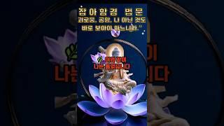 🪷 잡아함경 법문“무상을 바르게 사유한 것처럼괴로움, 공함, 나 아닌 것도바로 보아야 하느니라.”#잡아함경 #정사유경 #무상 #바른사유 #불교법문 #심해탈 #불교공부