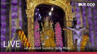 velankanni live mass today | velankanni live