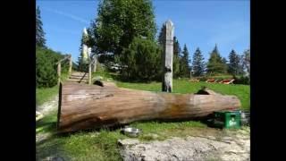 Illingerbergalm / Sankt Gilgen / Salzburg / Wolfgangsee / Österreich