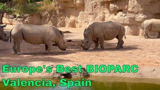 Exploring Bioparc Valencia: A Wildlife Adventure in Spain [4K]