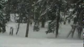Hokkaido Powder Guides, Tomamu Off-piste Skiing