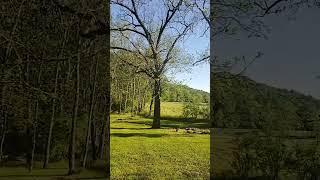 Explore the beauty of country living #farm