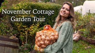 November Cottage Garden - 1000s of bulbs to plant, autumn colour and runner ducks