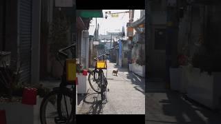 문래동 철공소 골목 joyfulharu 조이플하루