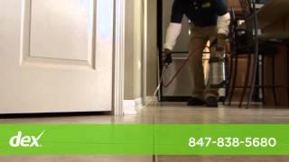 A-Action Pest Control, Inc.