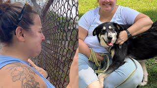 Good Samaritan Encountered A Stray Dog In 4 Months And She Adopt Him