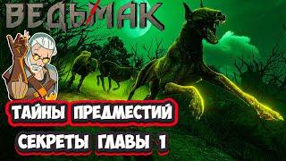 ЭТОГО ВЫ ТОЧНО НЕ ЗНАЛИ! | Ведьмак 1 Глава 1 Секреты | The Witcher: Enhanced Edition