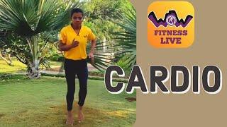 Workout 17 | Cardio | Health and Wellness Workshop #stayhome #staywow