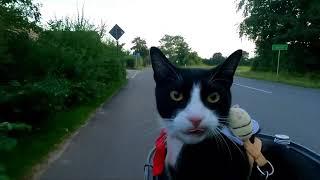 Mit Mr.Whiskers, die Probsteier Korntage 2024 besuchen - E-Bike Radtour Part #9/10