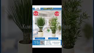 Meem Market Kuwait January offers #meemmarket #meemkuwait