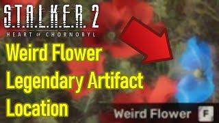 Stalker 2 Weird Flower location guide, how to find legendary artifact in poppy field