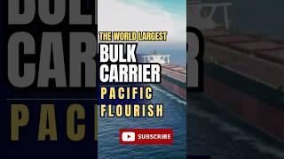 Largest Bulk Carrier