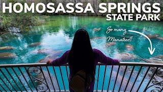 Homosassa Springs State Park: Another Incredible Manatee Refuge During Winter in Florida!