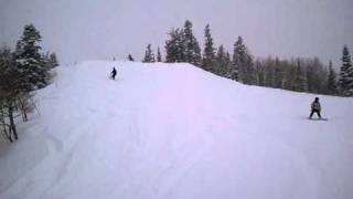 Snowboarder VS Tree