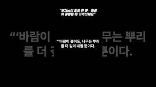 6~70대가 “마음이 흔들릴 땐 이 말씀을” #지혜의정원 #명언 #부처님말씀 #시니어힐링