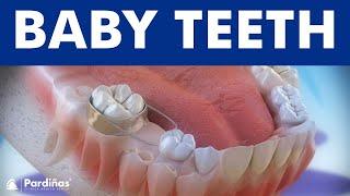 Baby teeth and the use of space maintainers ©