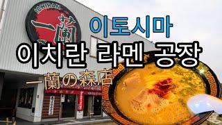 후쿠오카 라멘 이치란 라멘 이토시마 노모리 생면공장 /  一蘭 一蘭の森店