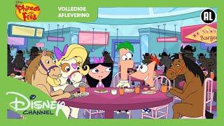 Phineas & Ferb | Flopsterren | Volledige Aflevering | Disney Channel België-Nederland