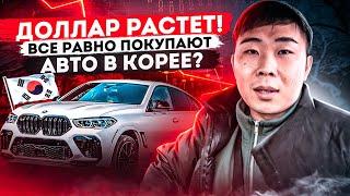 Какие авто покупают в Корее? Цены на авто из Кореи.