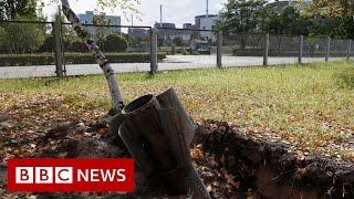 Integrity of Ukraine's Zaporizhzhia nuclear plant 'violated by military action' - BBC News